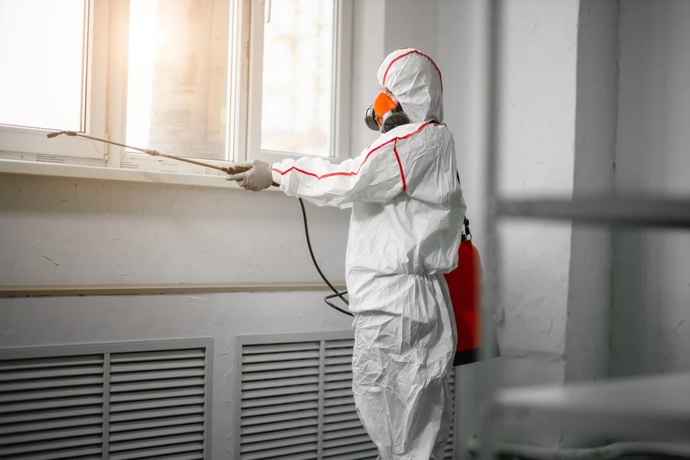 Professional mold remediation services in Vandiver, AL